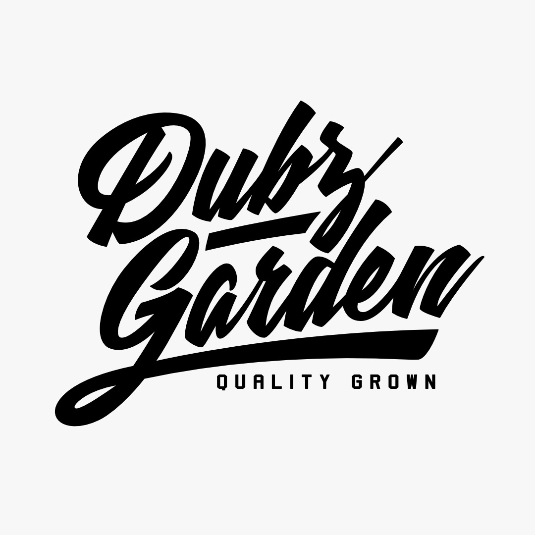 DUBZ GARDEN