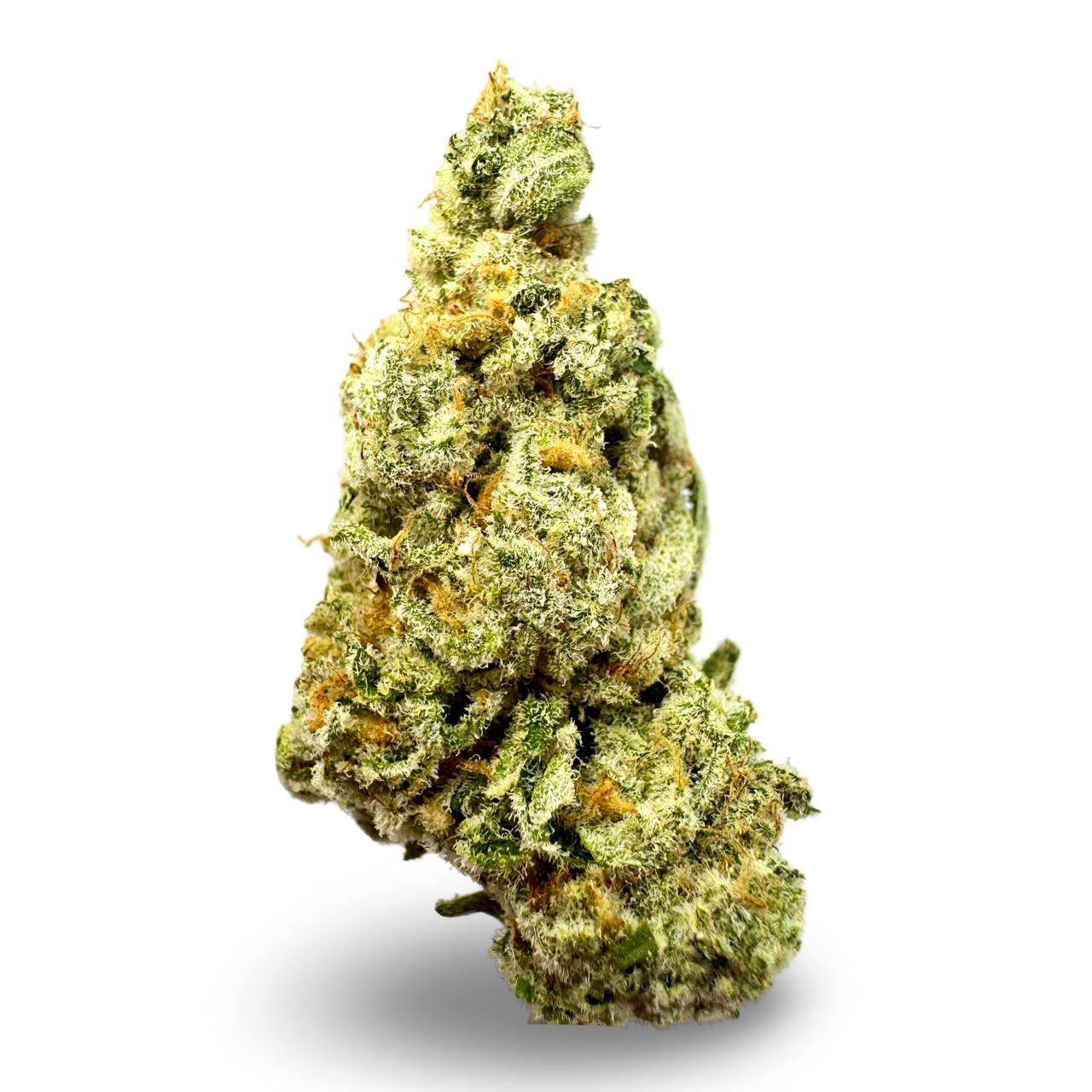MImosa - 14g