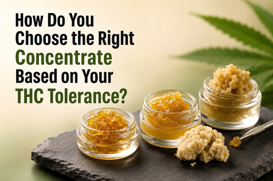 How Do You Choose the Right Concentrate Based on Your THC Tolerance?